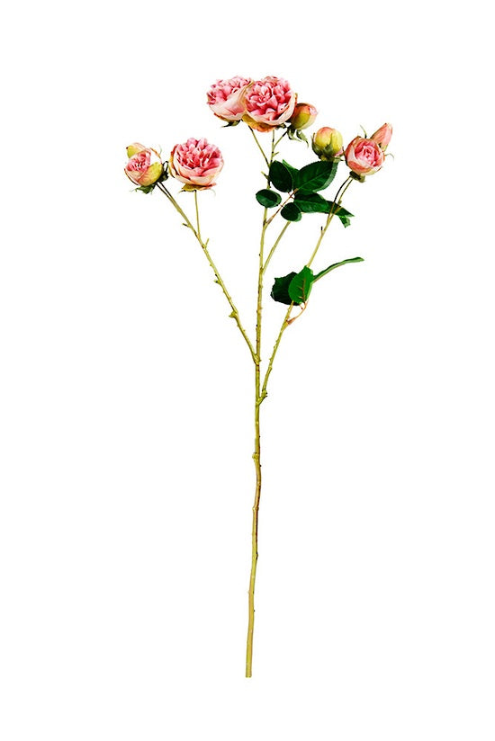 Flower System Bourbon Rose Spray Soft Pink 68.5cm artificial rose stem with pink blossoms, green leaves