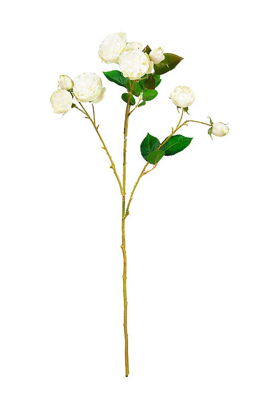 Flower System Bourbon Rose Spray Soft White 68.5cm artificial rose stem with multiple white rose blooms, green leaves