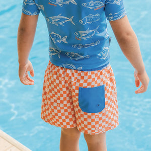 Crywolf Boys BOARD SHORT Sunset Check Beach