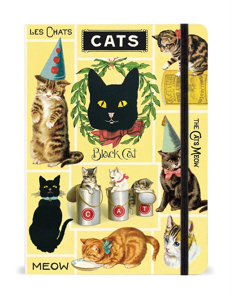 Cavallini & Co - Cats - Large Notebook