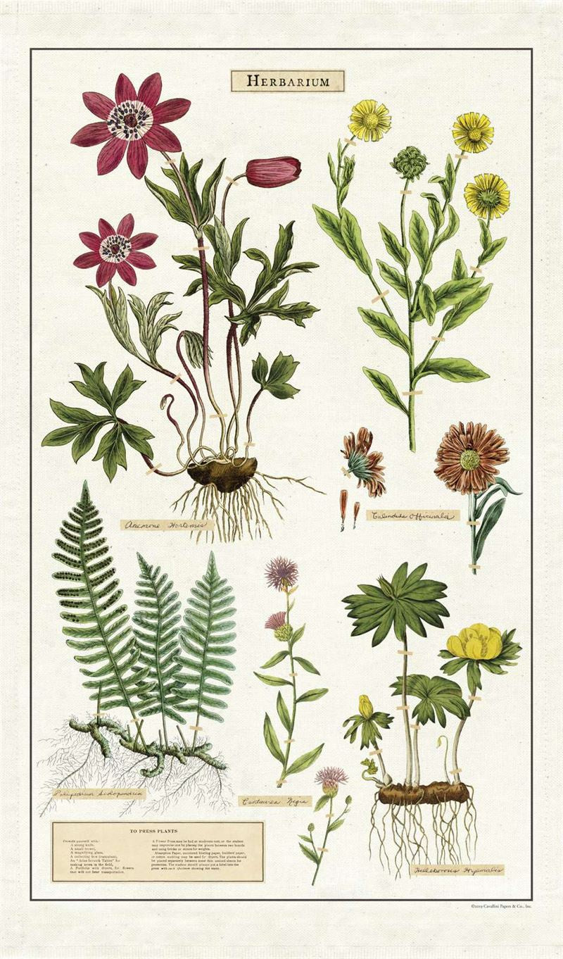 Cavallini & Co - Herbarium - Tea Towel