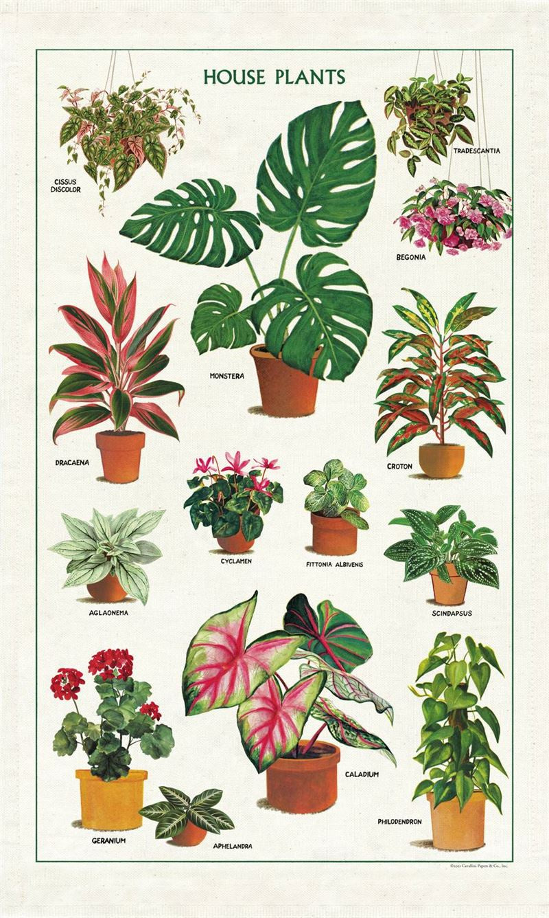 Cavallini & Co - House Plants - Tea Towel