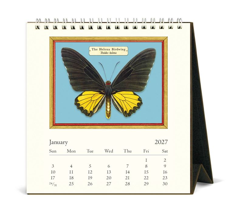 Cavallini & Co - Butterflies - 2027 Desk Calendar