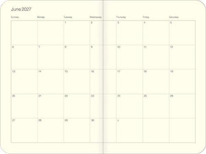 Cavallini & Co - Cats - 2027 Weekly Planner
