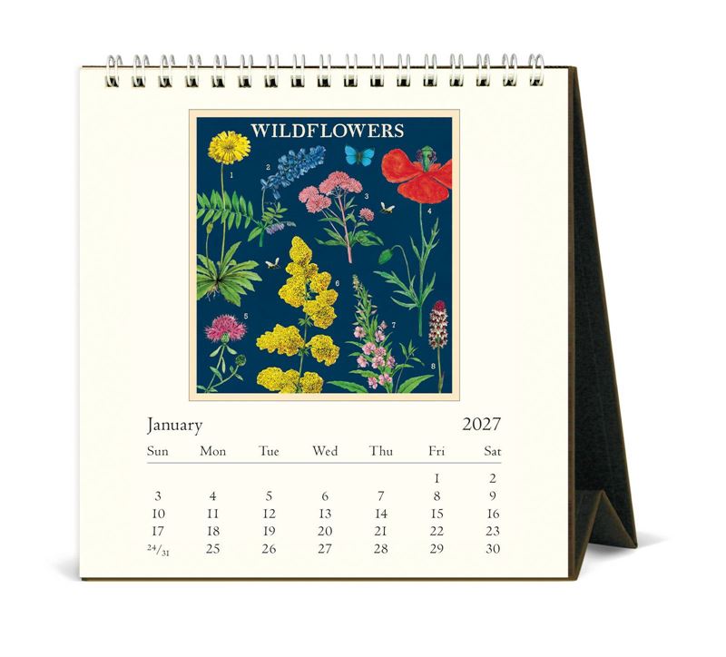 Cavallini & Co - Wildflowers - 2027 Desk Calendar