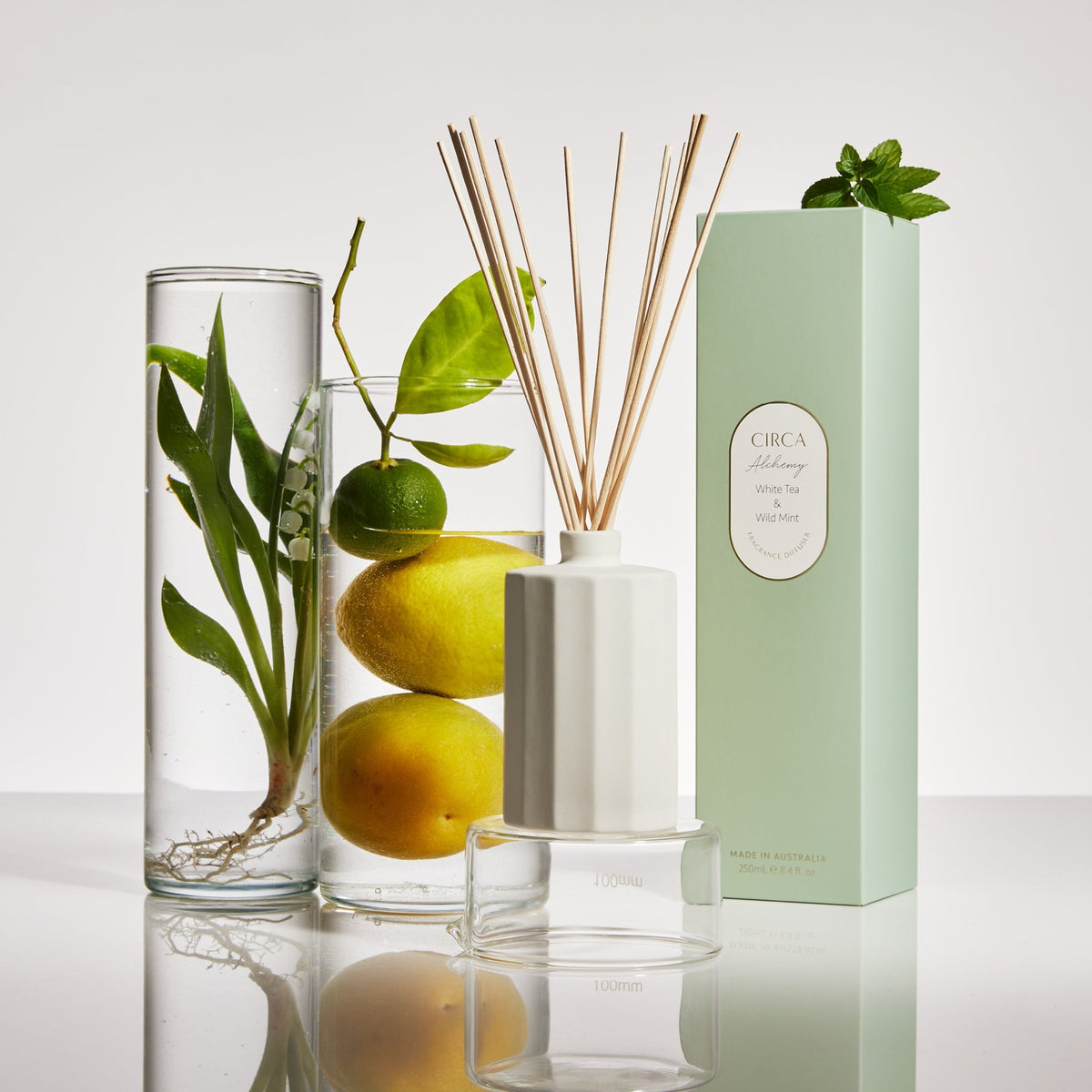 Circa White Tea & Wild Mint Diffuser