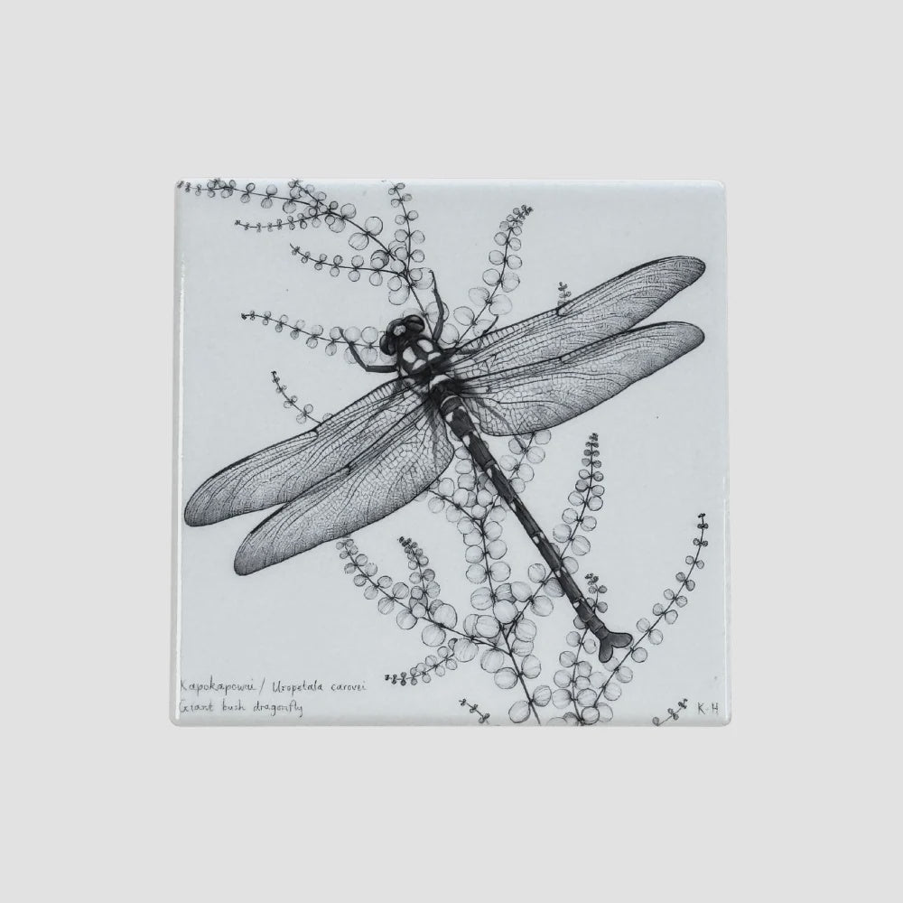 KATY HAYWARD COASTER - NZ GIANT DRAGONFLY / KAPOKAPOWAI