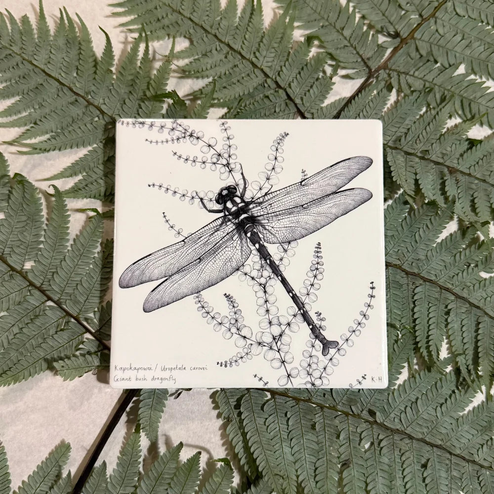 KATY HAYWARD COASTER - NZ GIANT DRAGONFLY / KAPOKAPOWAI