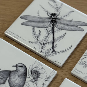 KATY HAYWARD COASTER - PĪWAIWAKA/ FANTAIL