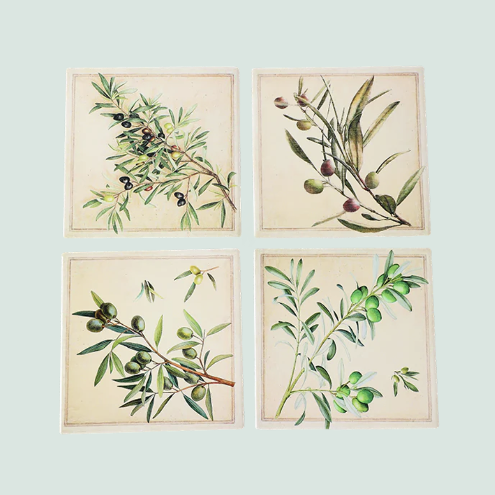 Coasters Set of 4 - Square Olives