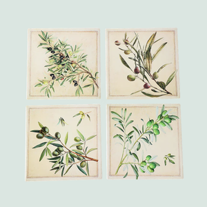 Coasters Set of 4 - Square Olives