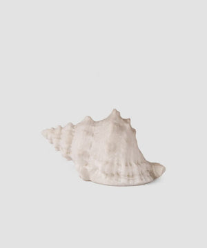 French Country Collection Conch Shell Decorative Light Up