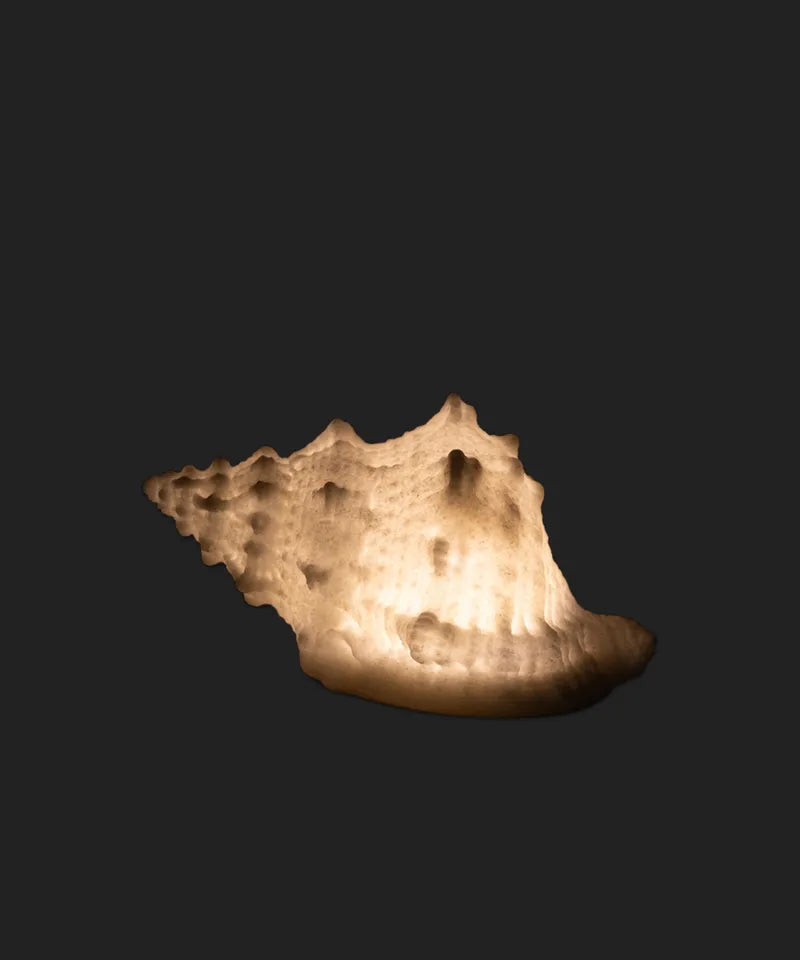 French Country Collection Conch Shell Decorative Light Up
