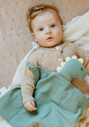 Over the Dandelions Organic Muslin Dinosaur Lovey