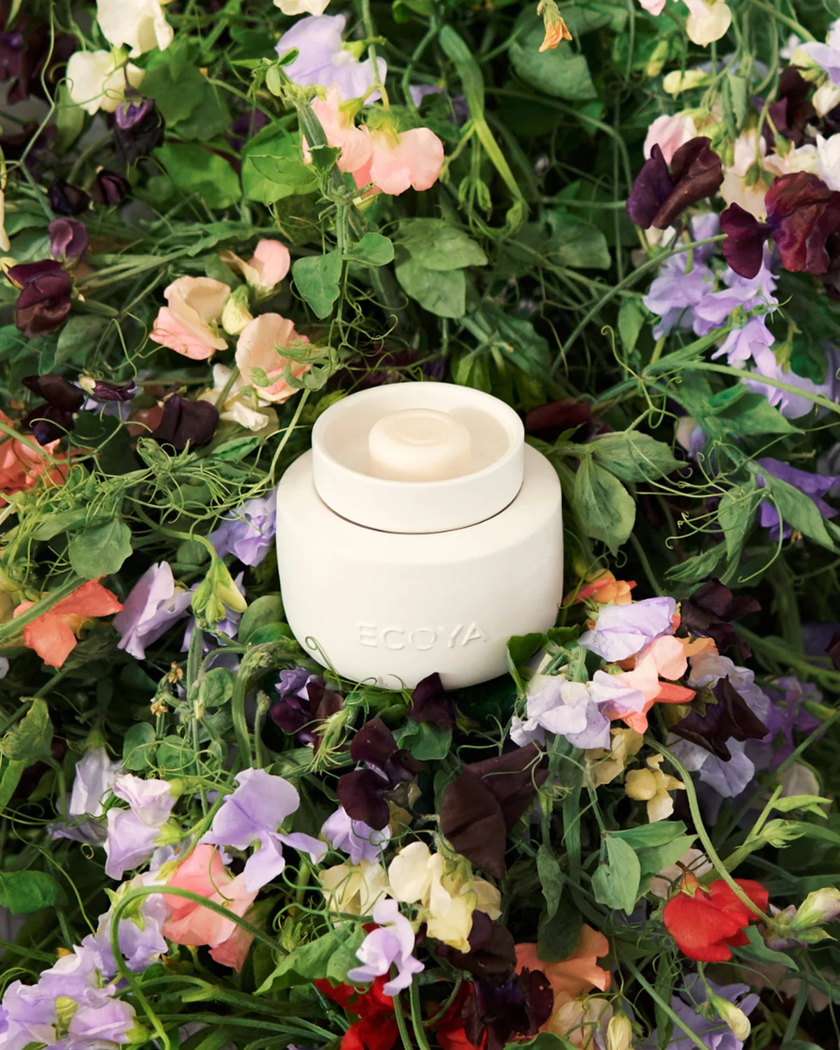 ECOYA electric wax melter