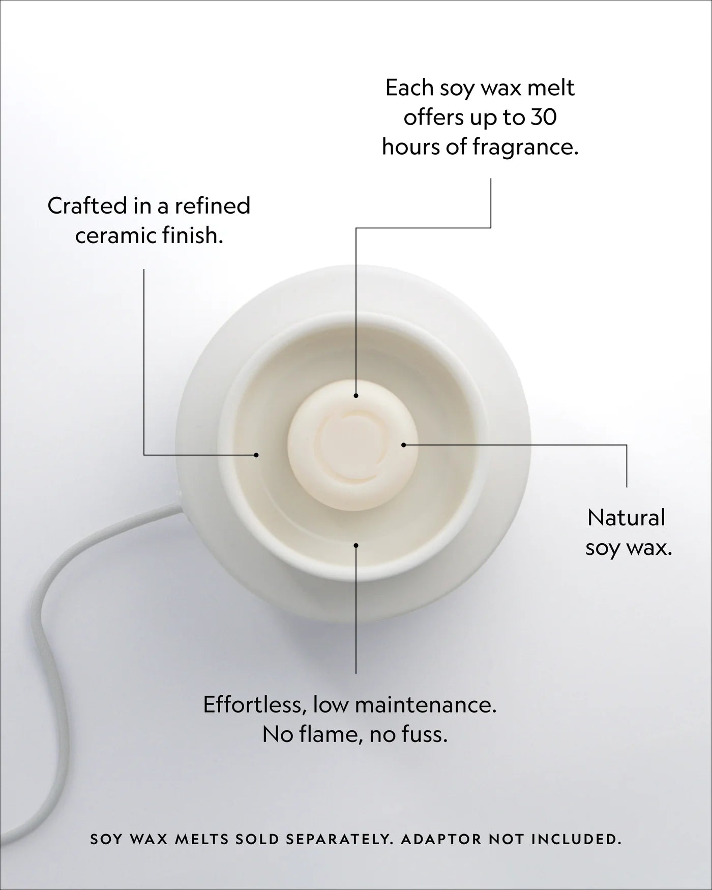 ECOYA electric wax melter