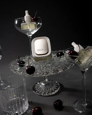 ECOYA Holiday - Plug-In Diffuser Gift Set