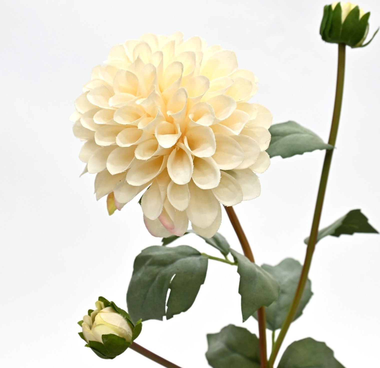 English Dahlia - Aged Cream Artificial flower stem