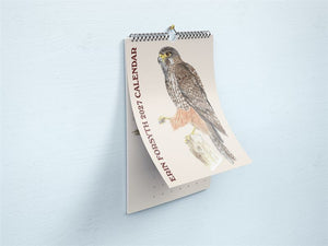 Erin Forsyth - 2027 Wall Calendar
