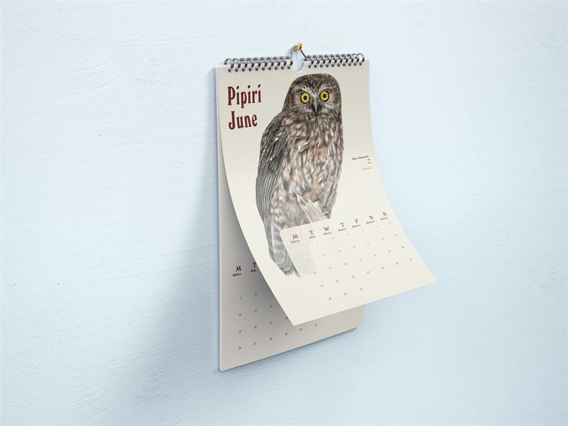 Erin Forsyth - 2027 Wall Calendar