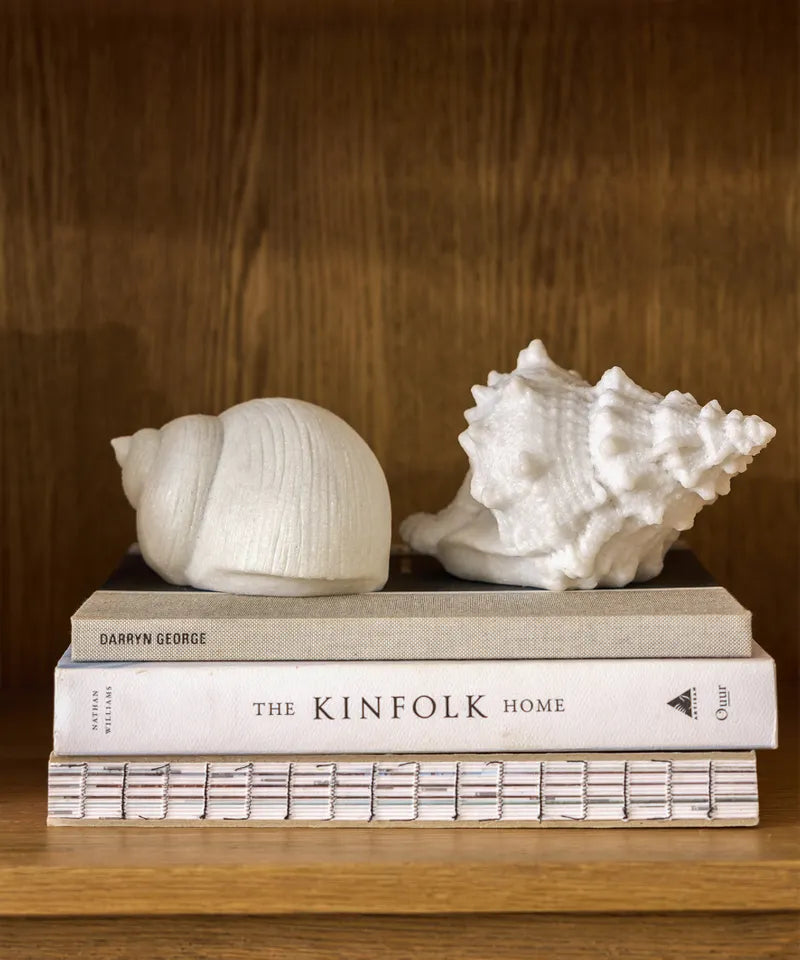 French Country Collection Snail Shell Decorative Light Up