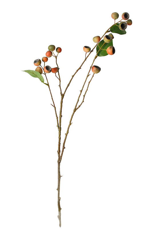 Flower Systems Medlar Branch Orange