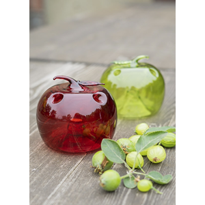 Fruit Fly Trap Apple Assorted - EG23 Parnell+Co