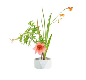 Fuji Japanese flower arranging bowl