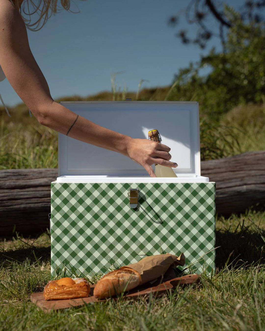 Napoleon Goods Chilly Bin - Avocado Gingham