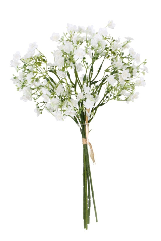 Gypsophila Bundle Flower Systems