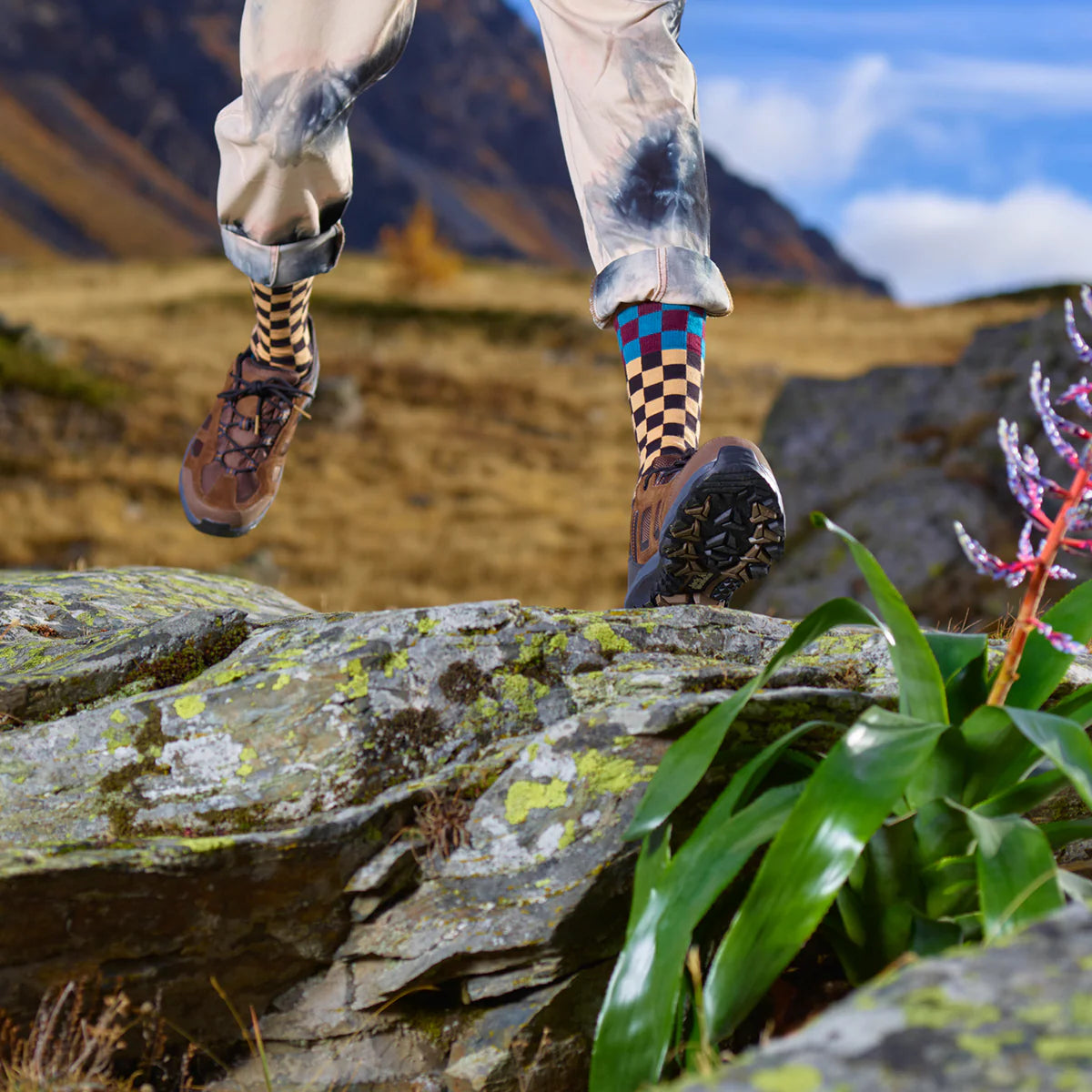 HAPPY SOCKS Checkerboard Sock (9000)