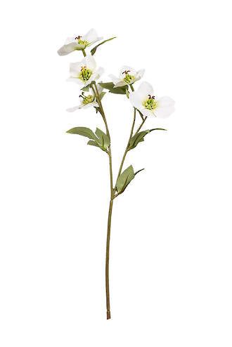 Flower Systems Hellebore Spray 47cm Cream
