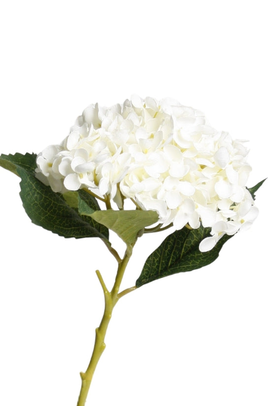 Flower System Hydrangea Short Stem 45cm White
