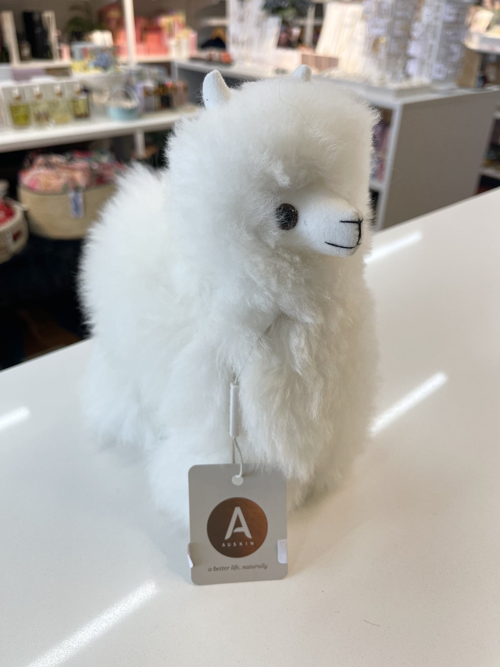 AUSKIN Collectible Alpaca Haucaya Alpaca 20cm Ivory
