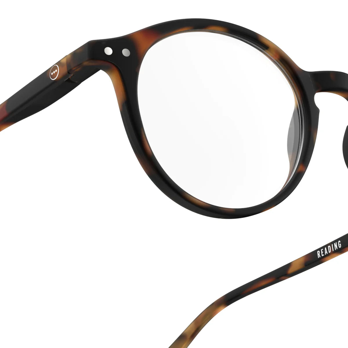 IZIPIZI Reading Collection D Tortoise Reader