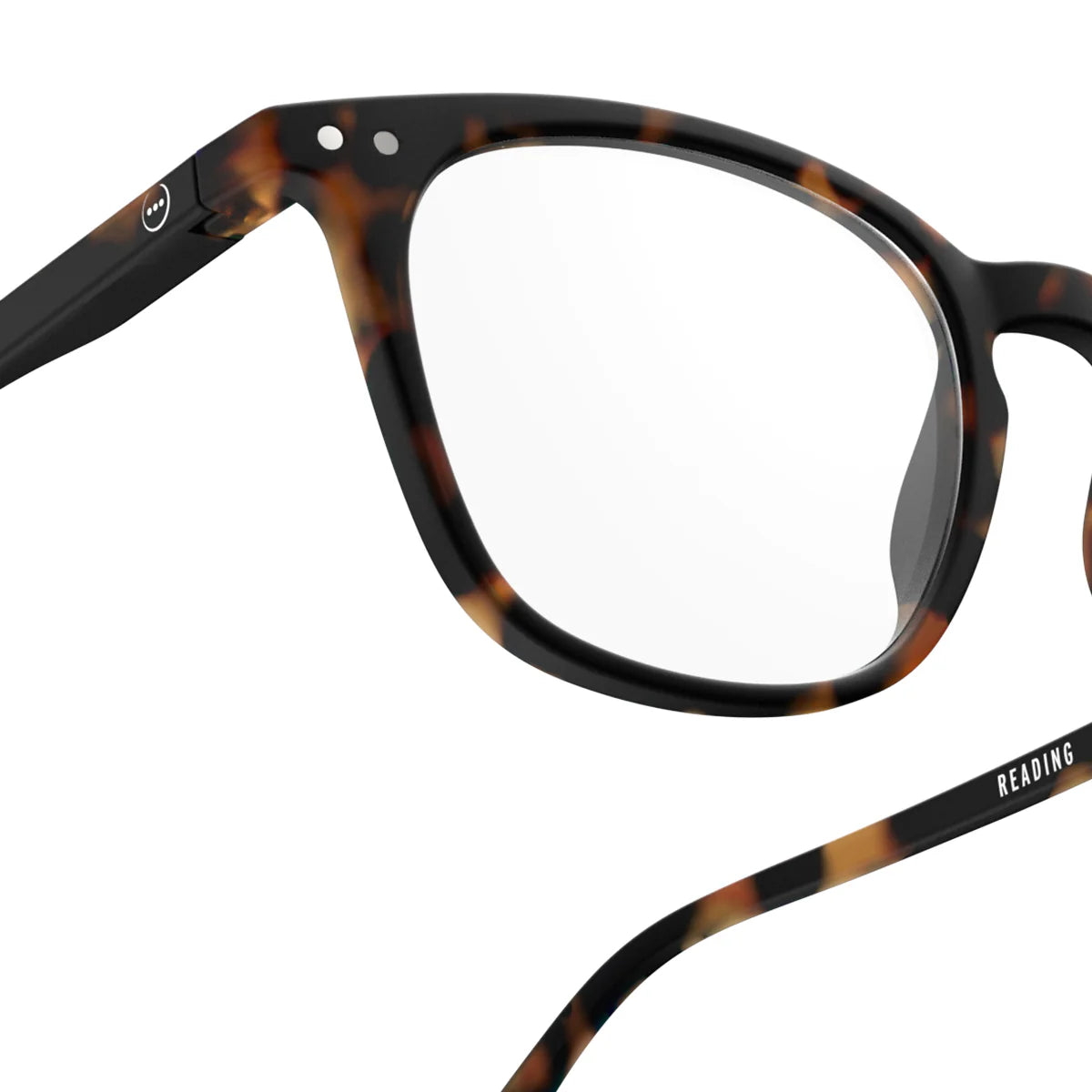 IZIPIZI Reading Collection E - Tortoise Reader