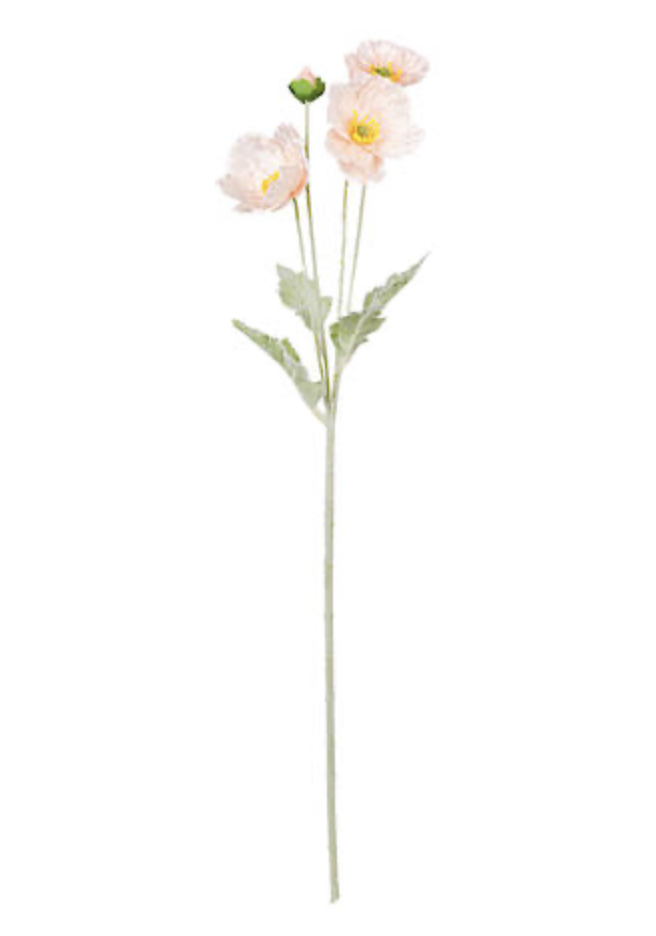 Iceland Poppy Spray 62cm Blush