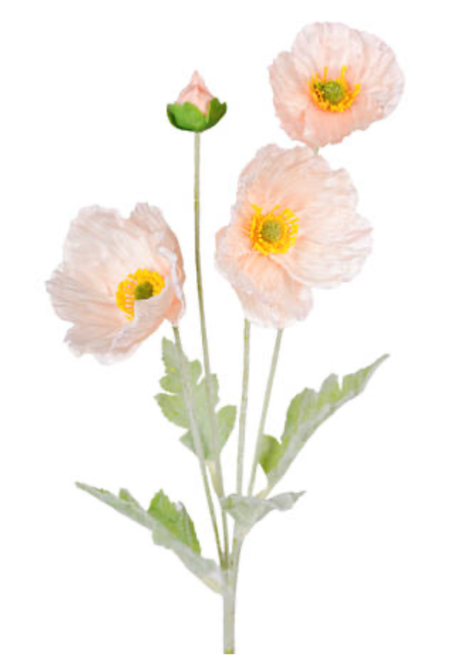Iceland Poppy Spray 62cm Blush