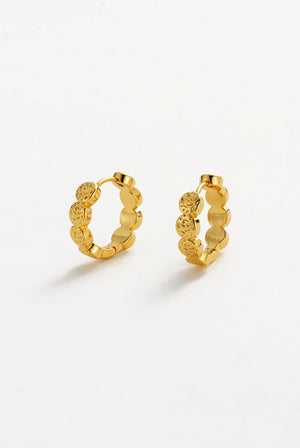 ZAFINO Josie Hoop Essential Earring - Gold 7358