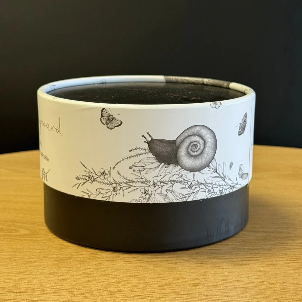 KATY HAYWARD Mug Cup - Walking with Aroha - Brown Kiwi
