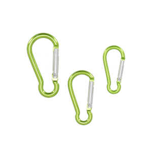 Kids Explorers Carabiner set of 3 Green