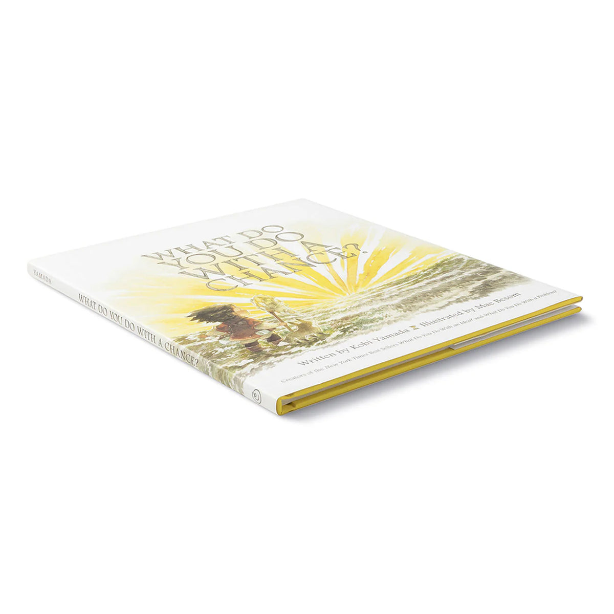 KIDS GIFT BOOK WHAT DO YOU DO WITH A CHANCE