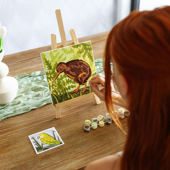 Adventure Collections Kiwi 20x20cm Paint By Numbers