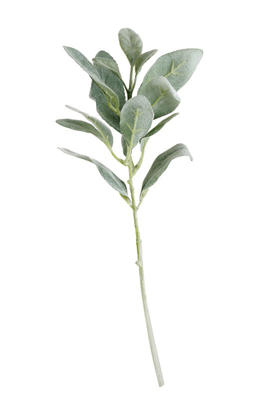 Flower Systems Lambs Ear Short Stem 38cm