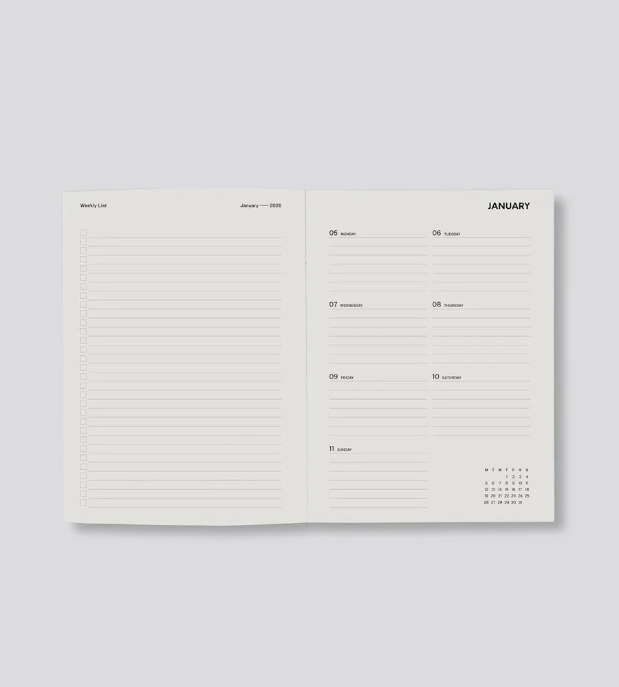 Father Rabbit | Weekly Diary 2026 | Dusk