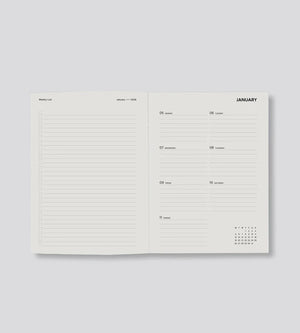 Father Rabbit | Weekly Diary 2026 | Dusk