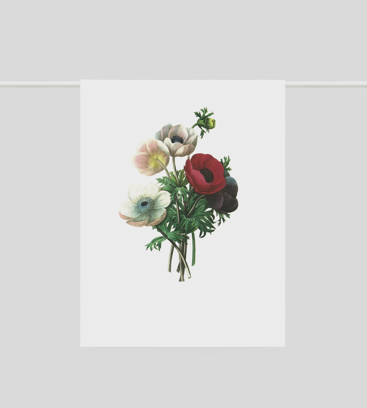 Tea Towel - Anemone