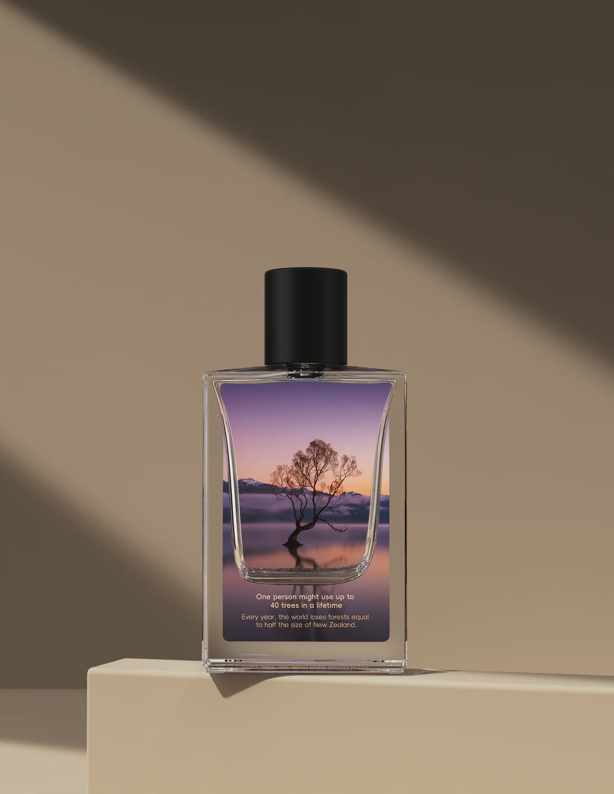 KOIKKI Memory of Trees - Wanaka - EDP 50ml
