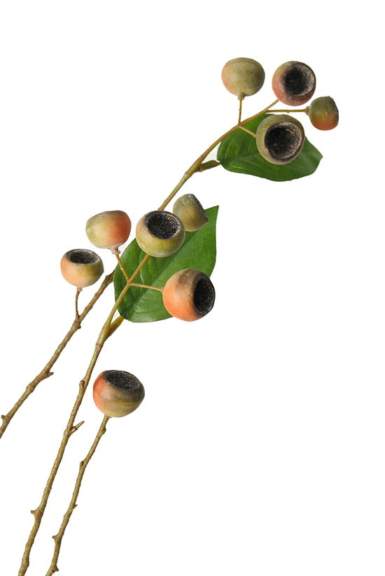 Flower Systems Medlar Branch Orange