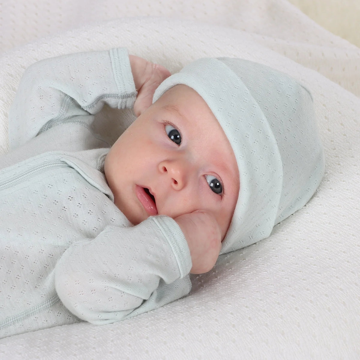 Little Bee by Dimples Merino Beanie - Pointelle - Duck Egg